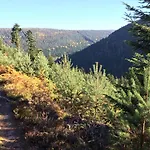 Kuckuck Auf Dem Sommerberg Incl Schwarzwald Plus-karte - 2 50qm