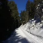 Kuckuck Auf Dem Sommerberg Incl Schwarzwald Plus-karte - 2 50qm