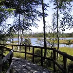 Kuckuck Auf Dem Sommerberg Incl Schwarzwald Plus-karte - 2 50qm Bad Wildbad
