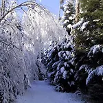 Kuckuck Auf Dem Sommerberg Incl Schwarzwald Plus-karte - 2 50qm * Bad Wildbad