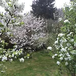 Kuckuck Auf Dem Sommerberg Incl Schwarzwald Plus-karte - 2 50qm Appartamento