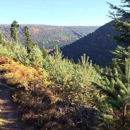 Ferienwohnung Kuckuck Auf Dem Sommerberg Mit Gratis Schwarzwald Plus-Karte - 2 Zimmer 50Qm