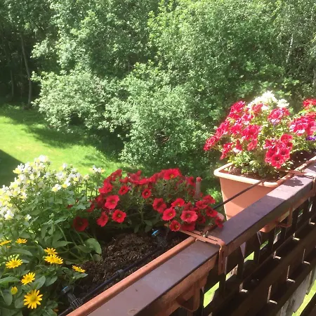 Apartment Kuckuck Auf Dem Sommerberg Incl Schwarzwald Plus-karte - 2 50qm *