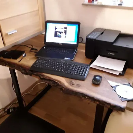 Kuckuck Auf Dem Sommerberg Incl Schwarzwald Plus-karte - 2 50qm Διαμέρισμα *