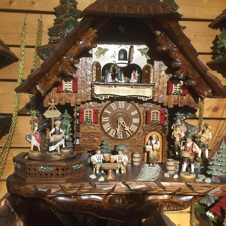 Kuckuck Auf Dem Sommerberg Incl Schwarzwald Plus-karte - 2 50qm