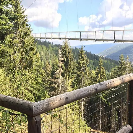 Kuckuck Auf Dem Sommerberg Incl Schwarzwaldcard - 2 50qm Apartment Bad Wildbad