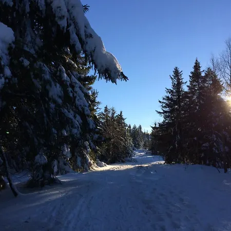 Kuckuck Auf Dem Sommerberg Incl Schwarzwald Plus-karte - 2 50qm Apartamento