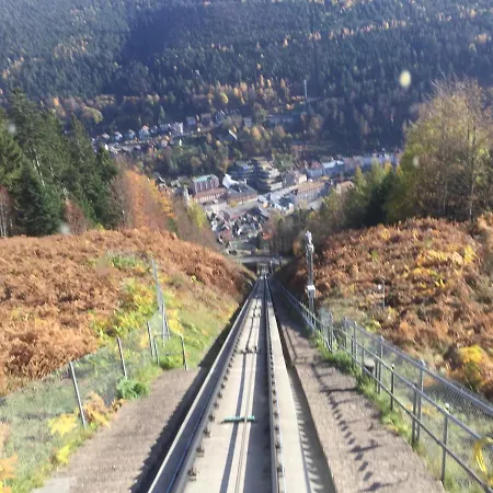 Διαμέρισμα Kuckuck Auf Dem Sommerberg Incl Schwarzwald Plus-karte - 2 50qm