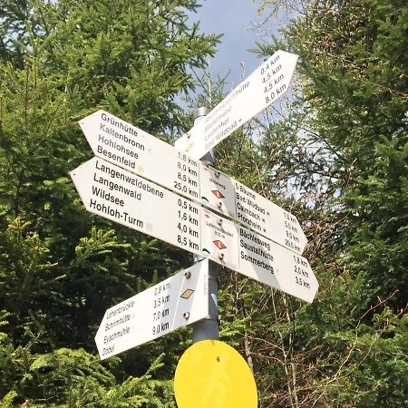 Kuckuck Auf Dem Sommerberg Incl Schwarzwald Plus-karte - 2 50qm شقة *