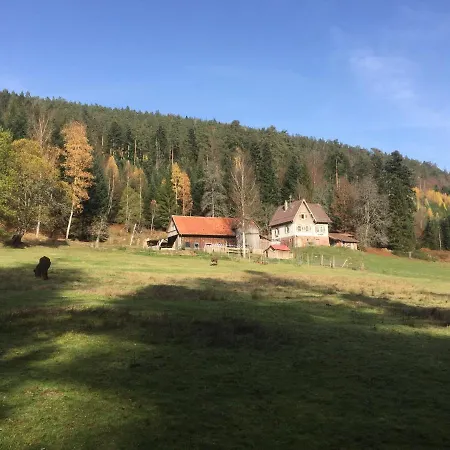 Ferienwohnung Kuckuck Auf Dem Sommerberg Mit Gratis Schwarzwald Plus-Karte - 2 Zimmer 50Qm