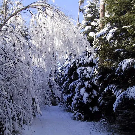 Kuckuck Auf Dem Sommerberg Incl Schwarzwald Plus-karte - 2 50qm * Bad Wildbad