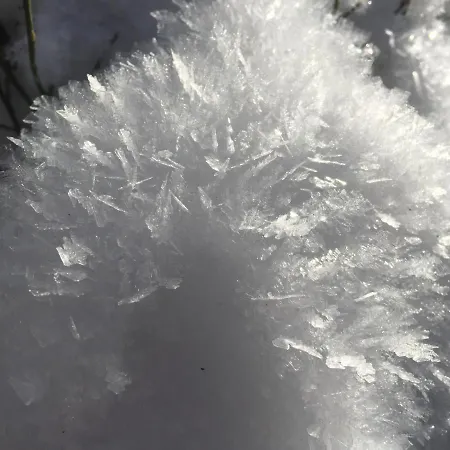 Διαμέρισμα Kuckuck Auf Dem Sommerberg Incl Schwarzwald Plus-karte - 2 50qm