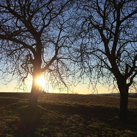 Kuckuck Auf Dem Sommerberg Incl Schwarzwald Plus-karte - 2 50qm Appartement Bad Wildbad