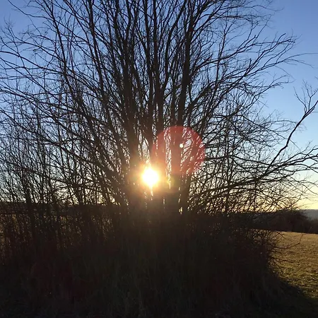 Kuckuck Auf Dem Sommerberg Incl Schwarzwald Plus-karte - 2 50qm Appartement