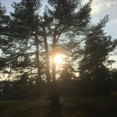 Διαμέρισμα Kuckuck Auf Dem Sommerberg Incl Schwarzwald Plus-karte - 2 50qm Bad Wildbad