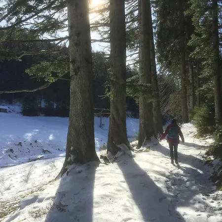 Kuckuck Auf Dem Sommerberg Incl Schwarzwald Plus-karte - 2 50qm * Bad Wildbad