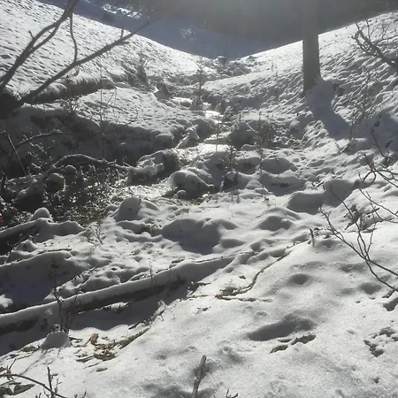 Kuckuck Auf Dem Sommerberg Incl Schwarzwald Plus-karte - 2 50qm Bad Wildbad