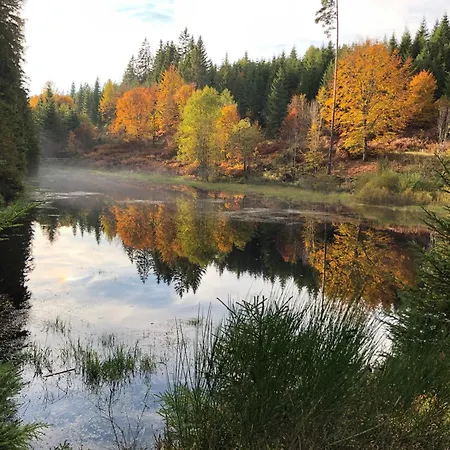 Appartement Kuckuck Auf Dem Sommerberg Incl Schwarzwald Plus-karte - 2 50qm *