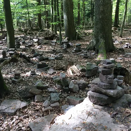 Kuckuck Auf Dem Sommerberg Incl Schwarzwald Plus-karte - 2 50qm Bad Wildbad