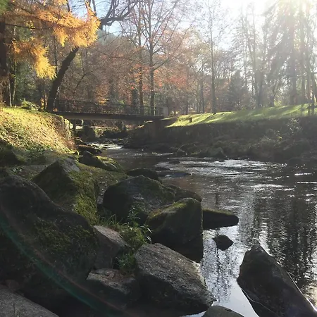 Διαμέρισμα Kuckuck Auf Dem Sommerberg Incl Schwarzwald Plus-karte - 2 50qm *