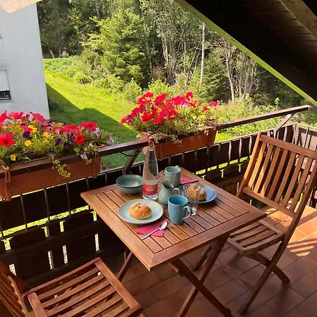 Apartmán Kuckuck Auf Dem Sommerberg Incl Schwarzwald Plus-karte - 2 50qm Bad Wildbad